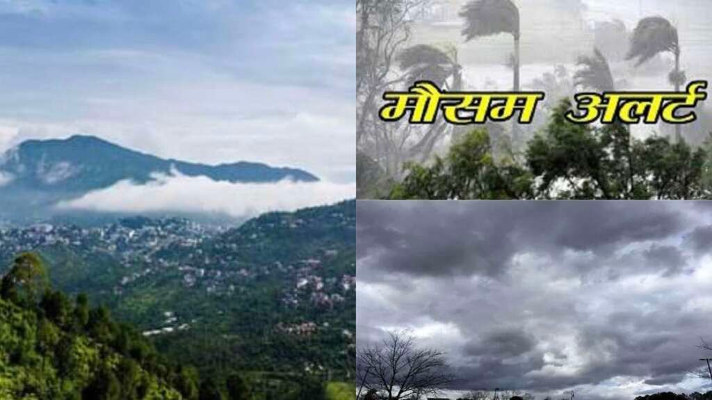 c1_20260428_08102853