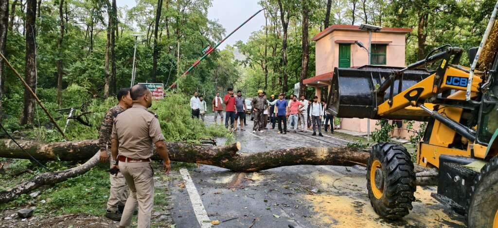 टनकपुर-पूर्णागिरि मार्ग पर आंधी-बारिश से गिरे पेड़ों को हटाती टीम।