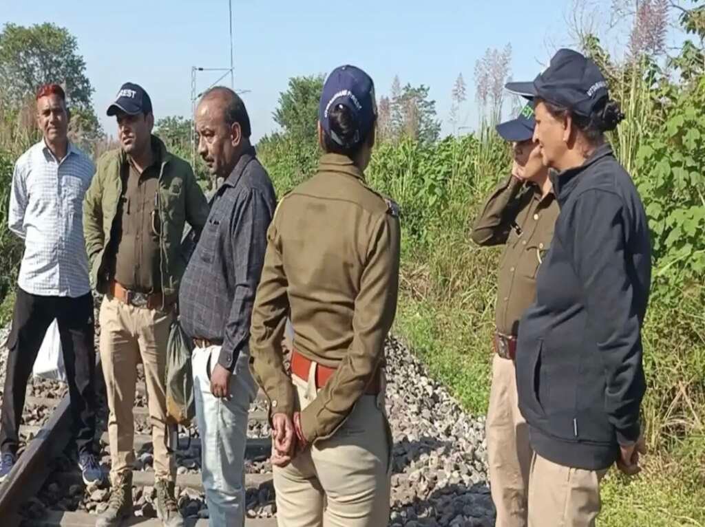 हल्दी-छतरपुर रेलवे ट्रैक पर ट्रेन की चपेट में आने से नर हाथी की मौत
